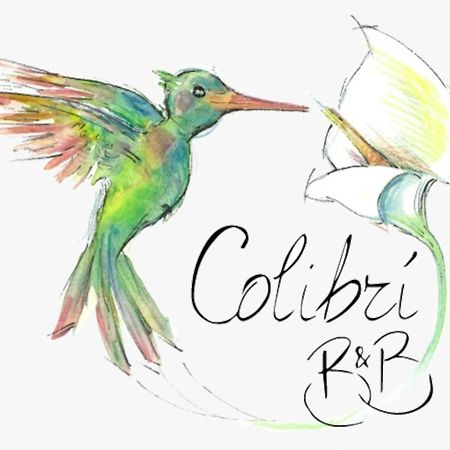 שאקה Colibri B&B מראה חיצוני תמונה
