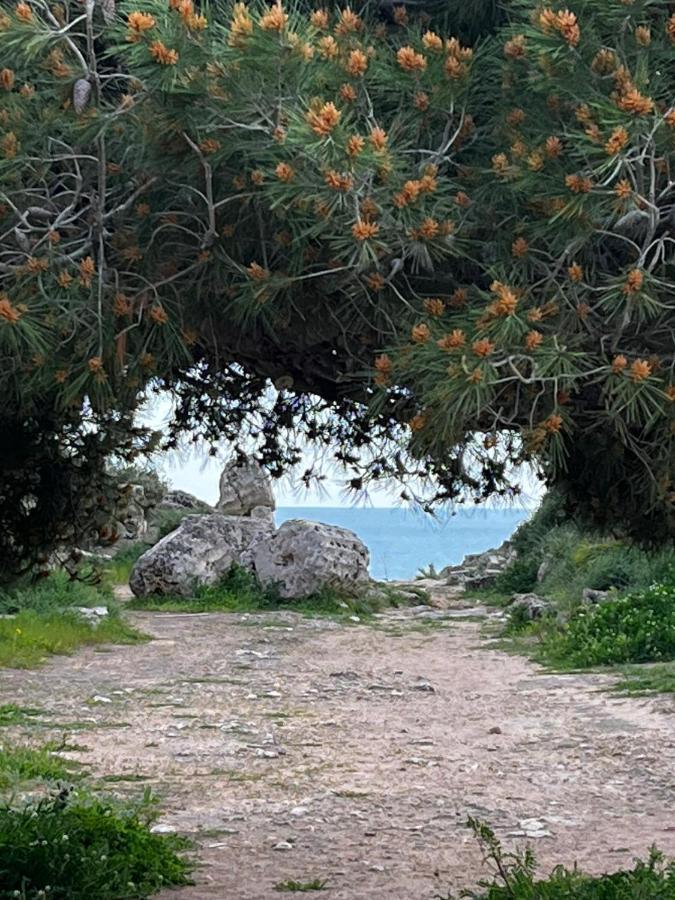 שאקה Colibri B&B מראה חיצוני תמונה