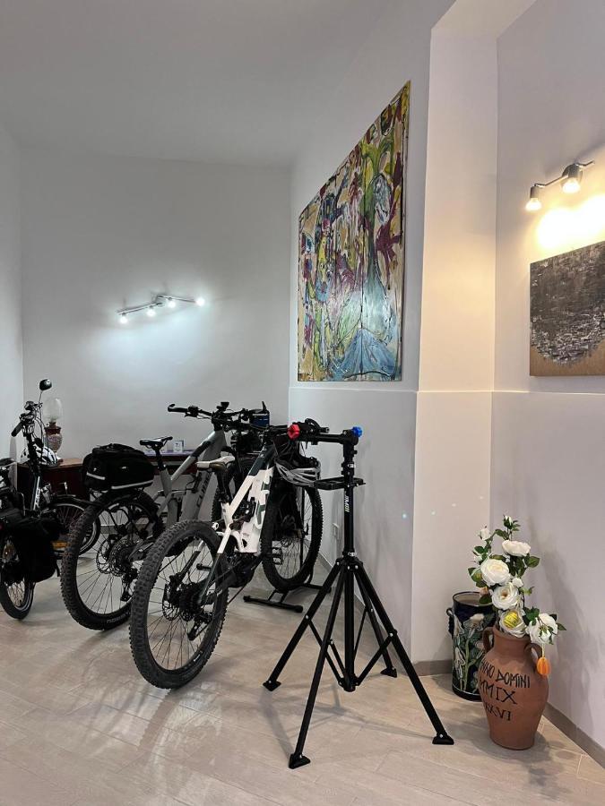 שאקה Colibri B&B מראה חיצוני תמונה